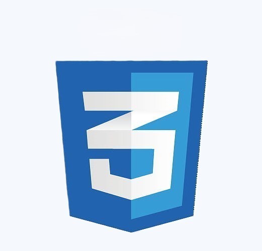 CSS Logo